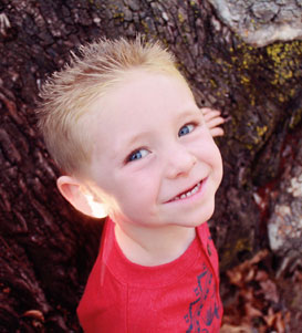 短信网页在线轰炸